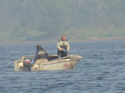 Браки 1.jpg