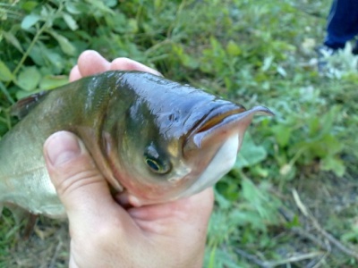 13082010340.jpg