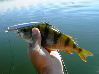 PICT6307.JPG