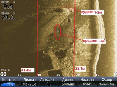 34ce73789142.jpg