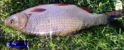 16082011_003.jpg