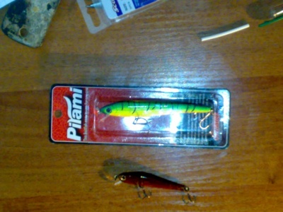 01102010058.jpg