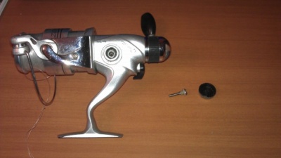 IMAG0024.jpg