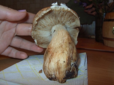 EPSN5319.JPG