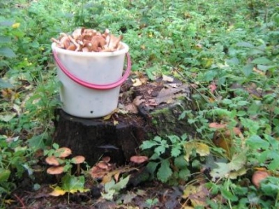 1.10. 2011 006.jpg