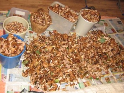 1.10. 2011 040.jpg