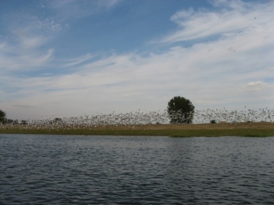 4430.jpg