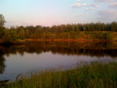фотография1.jpg