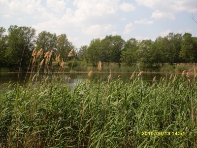 SDC117694.jpg