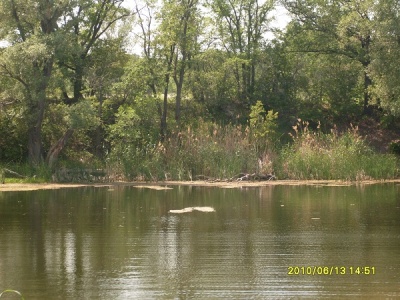 SDC117715.jpg