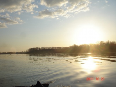 DSC00981.JPG