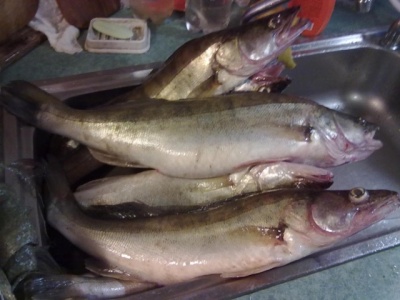 22102011523.jpg