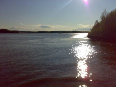 11062009094.jpg
