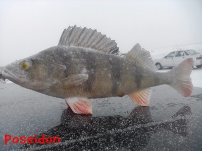 P271111_10.22_[02].jpg