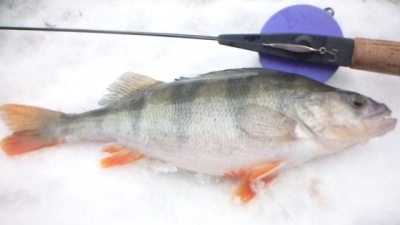 P1020125.JPG