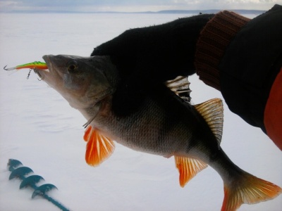 2011-03-06 09.40.05.jpg