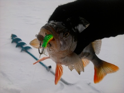 2011-03-06 09.40.13.jpg