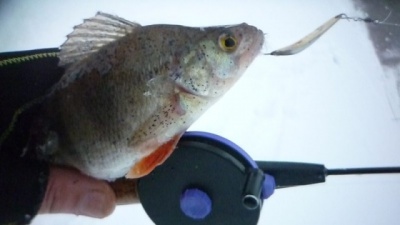 P1020149.JPG