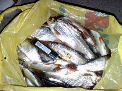 20052010996.jpg