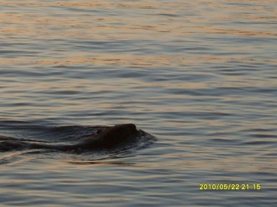 SDC116572.jpg