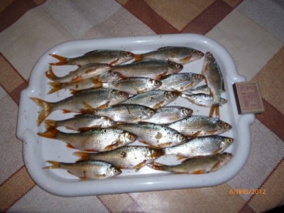 P1000132~1.jpg