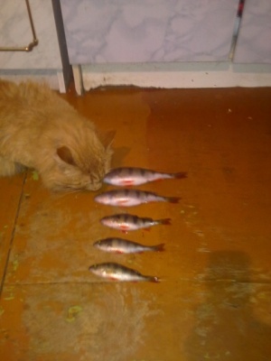 12012012414.jpg
