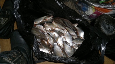 12012012064.jpg