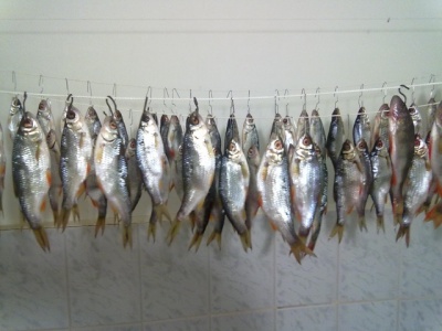 12012012060.jpg