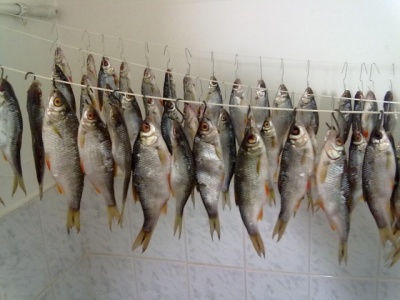 12012012061.jpg