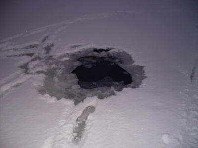 SDC11514.JPG