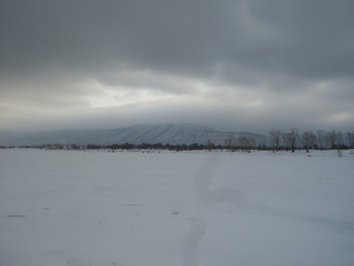 SDC11517.JPG