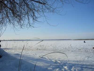 SDC11562.JPG