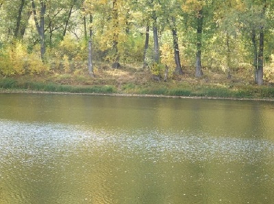 DSCF0450.JPG