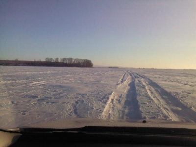 IMG_20120204_212900.jpg