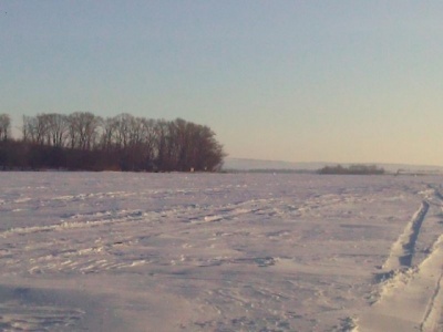 IMG_20120204_212906.jpg