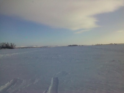 IMG_20120204_222702.jpg
