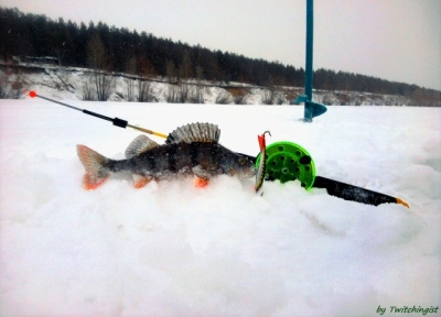 Samarafishing 1.jpg
