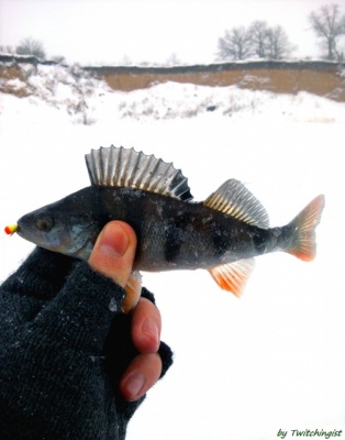Samarafishing 2.jpg