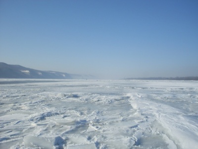 SDC11584.JPG