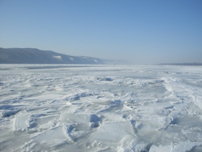 SDC11589.JPG