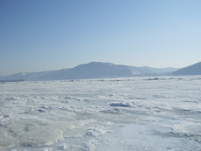 SDC11587.JPG
