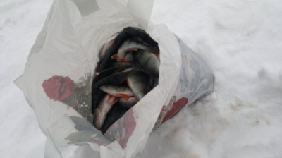 28022012994.jpg