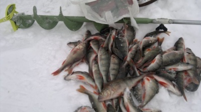 28022012996.jpg