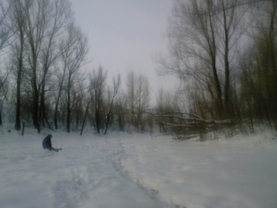 SP_A0011.jpg