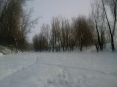 SP_A0012.jpg