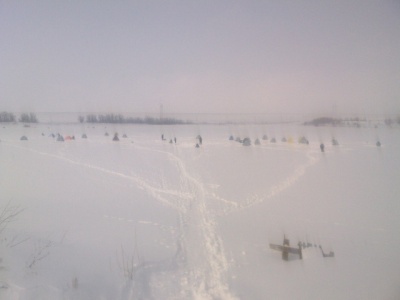 SP_A0013.jpg