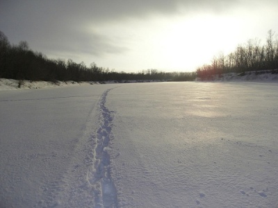 SDC11313.JPG