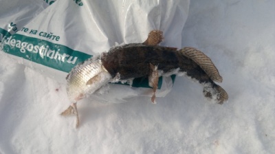2012-03-25-004.jpg