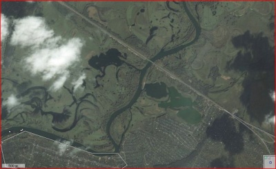 сок.jpg