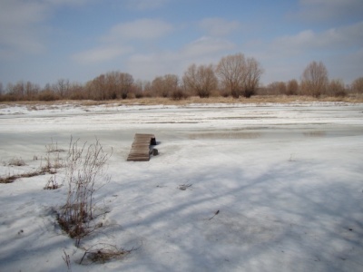 DSC08884.JPG